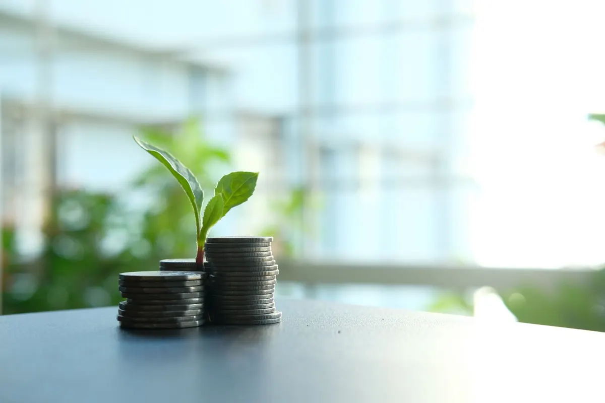 A small green seedling growing between two stacks of silver coins on a dark table, with a bright window blurred behind it